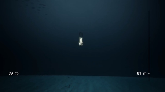 Video Reference N0: underwater, atmosphere, light, water, sky, darkness, screenshot, freediving, computer wallpaper, sea