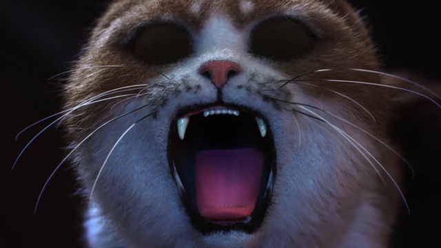 Video Reference N10: Mammal, Whiskers, Tooth, Cat, Nose, Felidae, Snout, Facial expression, Yawn, Tongue