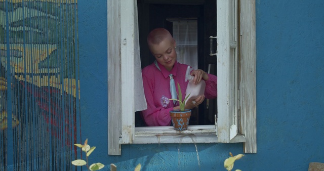 Video Reference N1: Window, Child, Adaptation, Smile, Door