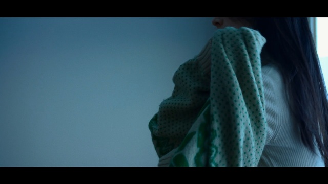 Video Reference N0: outerwear, girl, sky, screenshot, Person