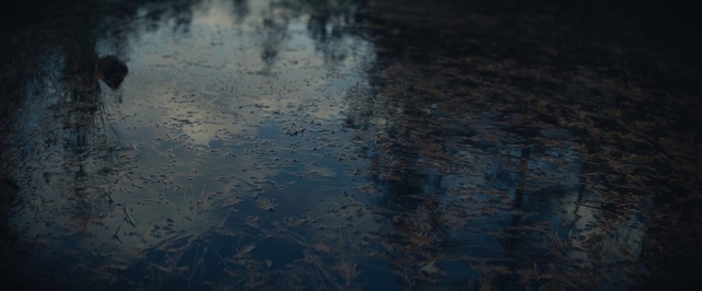 Video Reference N0: Reflection, Water, Blue, Atmosphere, Sky, Calm, Space, Cloud, Meteorological phenomenon