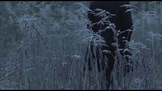 Video Reference N1: Nature, Black, Vegetation, Atmospheric phenomenon, Darkness, Black-and-white, Grass family, Atmosphere, Twig, Branch
