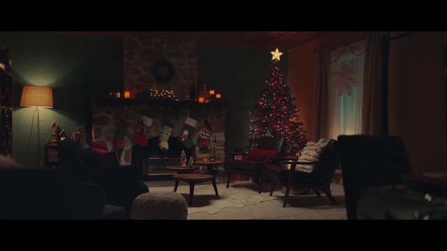 Video Reference N1: Photograph, Lighting, Red, Darkness, Light, Tree, Snapshot, Screenshot, Room, Christmas