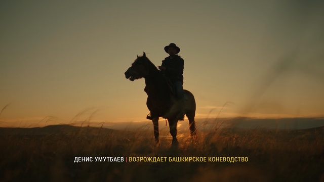 Video Reference N1: ecosystem, horse like mammal, horse, sky, grassland, ecoregion, mustang horse, steppe, cowboy, stallion, Person