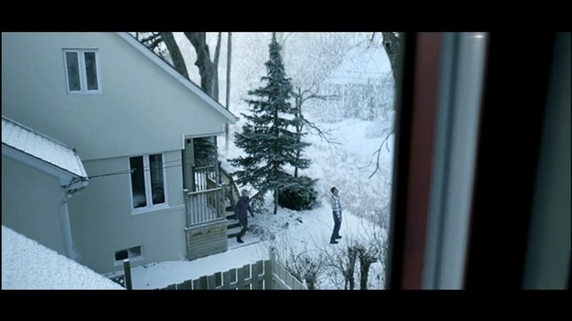 Video Reference N2: snow, home, winter, house, property, architecture, window, residential area, freezing, building