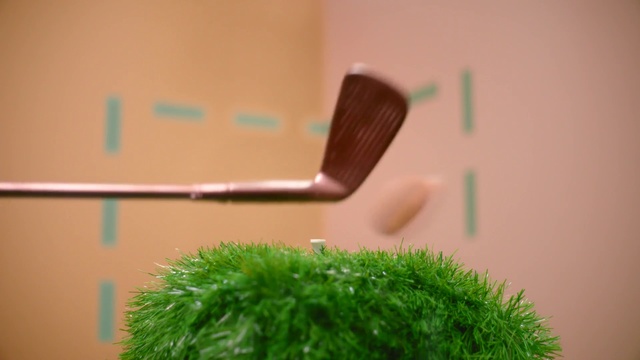 Video Reference N0: Green, Grass, Plant, Grass family, Moss, Room, Non-vascular land plant, Flooring, Artificial turf
