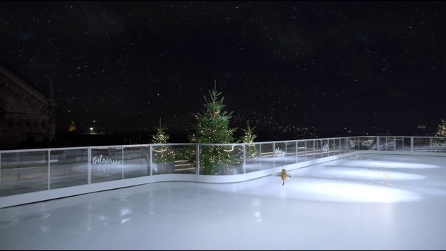 Video Reference N1: Night, Light, Tree, Winter, Lighting, Snow, Sky, Ice rink, Architecture, Darkness