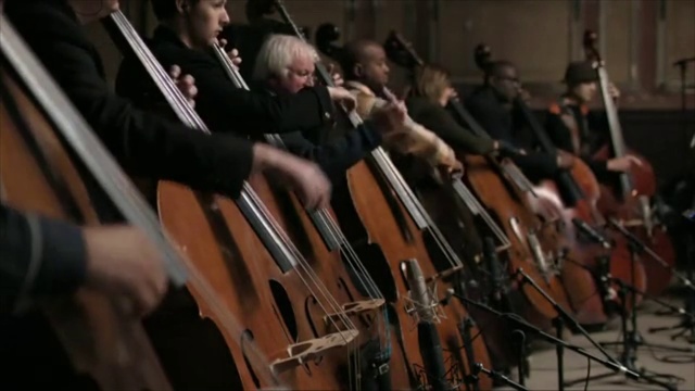 Video Reference N17: Music, String instrument, Musical instrument, Orchestra, Classical music, Bowed string instrument, String instrument, Musician, Double bass, Violin family