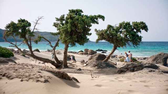 Video Reference N5: Tree, Shore, Beach, Coast, Natural landscape, Tropics, Coastal and oceanic landforms, Caribbean, Sea, Bay