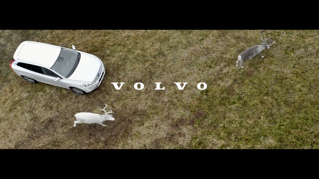 Video Reference N5: Grass, Tree, Font, Soil, Vehicle, Lawn, Photography, Car, Photo caption