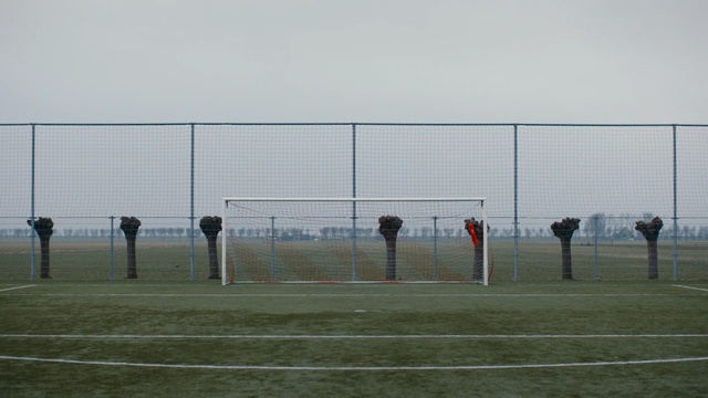 Video Reference N0: Net, Player, Sport venue, Team sport, Grass, Line, Goal, Sky, Fence, Sports, Person