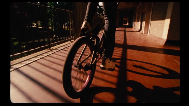 Video Reference N3: Bicycle, Bicycle wheel, Spoke, Vehicle, Bicycle tire, Mode of transport, Wheel, Cycling, Night, Bicycle frame, Sitting, Riding, Man, Table, Dog, Room, Street, White, Board, City, Land vehicle, Bike, Tire, Sports equipment
