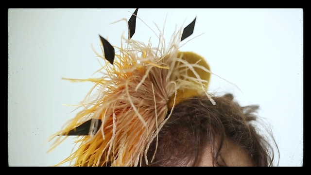Video Reference N1: Hair, Feather, Hairstyle, Yellow, Hair accessory, Fashion accessory, Feathered hair, Long hair, Hair coloring, Brown hair