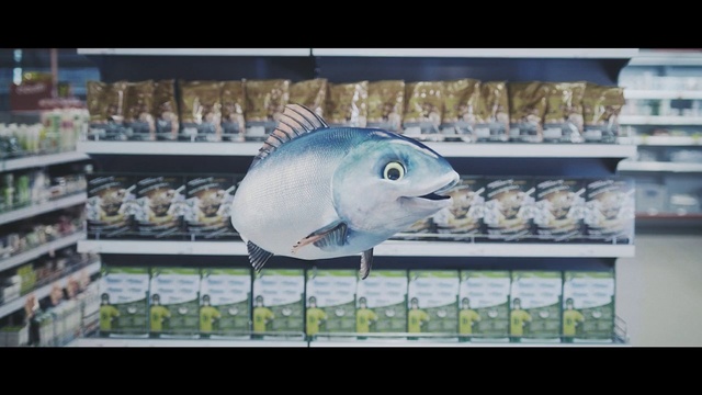 Video Reference N7: Fish, Fish, Seafood, Fugu