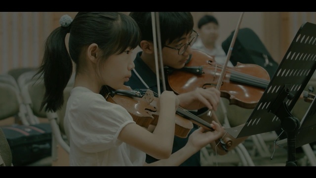 Video Reference N0: violin, musical instrument, violinist, string instrument, violin family, violist, string instrument, bowed string instrument, music, viola, Person