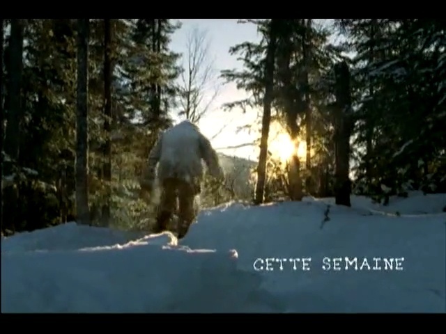 Video Reference N1: snow, ecosystem, winter, nature, sky, wilderness, mammal, tree, freezing, mode of transport, Person