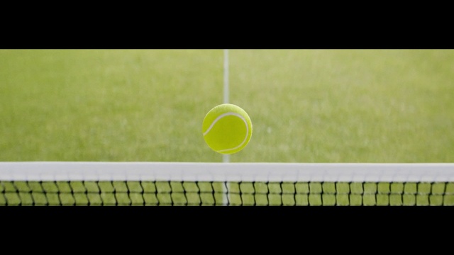 Video Reference N1: Green, Sport venue, Tennis court, Tennis ball, Grass, Grass family, Real tennis, Sports equipment, Net, Tennis