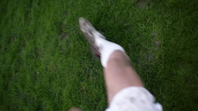 Video Reference N18: Green, Grass, Lawn, Leg, Grass, Finger, Foot, Plant, Barefoot, Hand