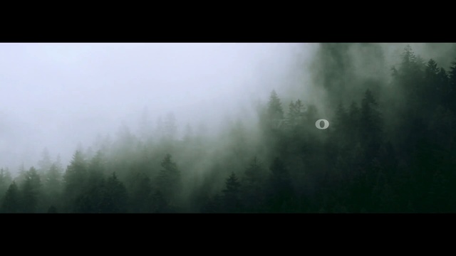 Video Reference N2: mist, fog, atmosphere, green, nature, ecosystem, sky, forest, tree, morning