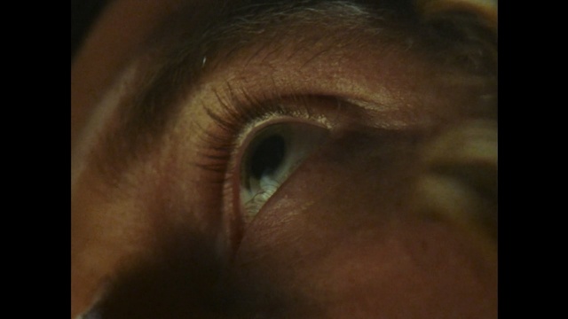 Video Reference N1: Eye, Iris, Face, Skin, Eyelash, Eyebrow, Close-up, Nose, Organ, Brown