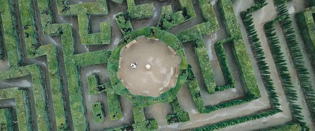 Video Reference N1: Green, Water, Grass, Labyrinth, Maze