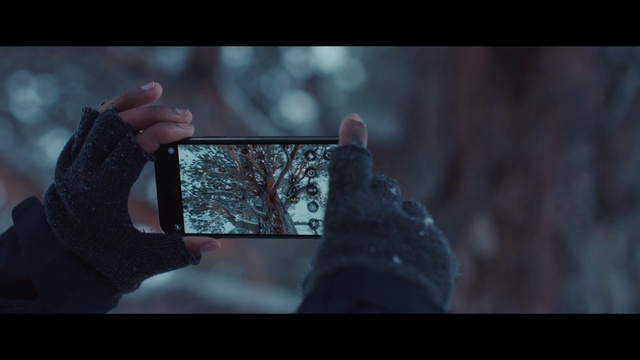 Video Reference N0: Screenshot, Hand, Tree, Digital compositing, Darkness, Photography, Window, Reflection, Gesture