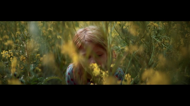 Video Reference N1: People in nature, Nature, Portrait, Sunlight, Plant, Grass, Grass family, Photography, Organism, Screenshot