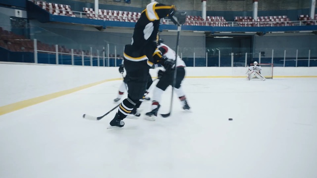 Video Reference N0: hockey, bandy, ice hockey, ice hockey position, ice rink, team sport, sport venue, player, roller in line hockey, sports