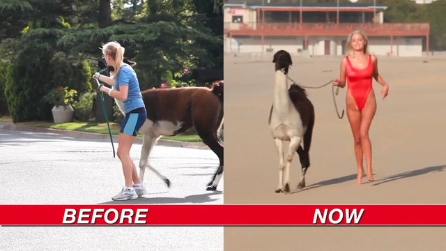 Video Reference N0: mammal, horse like mammal, horse, joint, race, recreation, walking, shoe, Person