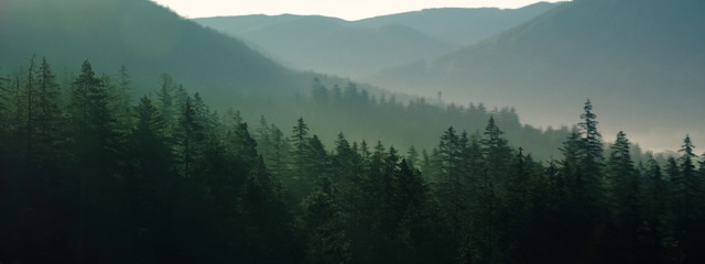 Video Reference N2: Mountainous landforms, Nature, Highland, Atmospheric phenomenon, Mist, Wilderness, Tropical and subtropical coniferous forests, Mountain, Forest, Tree