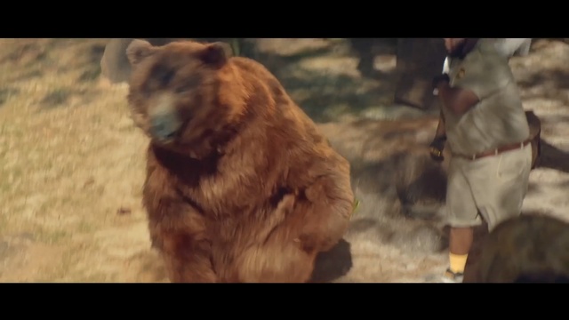 Video Reference N1: Bear, Grizzly bear, Brown bear, Organism, Dog breed, Adaptation, Carnivore, Fur, Wildlife, Screenshot