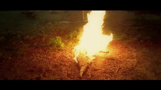 Video Reference N12: Heat, Flame, Fire, Bonfire, Campfire, Atmosphere, Sky, Sunlight, Event, Geological phenomenon