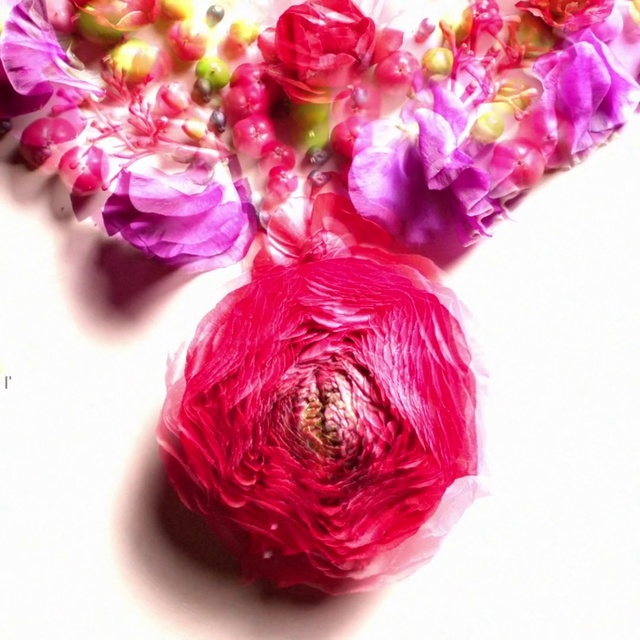 Video Reference N0: Pink, Red, Flower, Cut flowers, Magenta, Plant, Petal, Rose, Bouquet, Peony, Indoor, Vase, Table, Sitting, White, Glass, Small, Food, Plate, Colorful, Purple