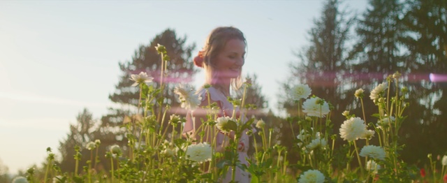 Video Reference N3: flower, plant, spring, wildflower, grass, field, meadow, summer, fun, morning
