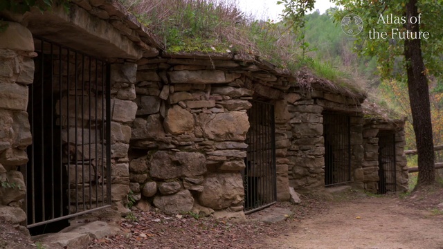Video Reference N4: Stone wall, Building, House, Hut, Tree, Rock, Ruins, Landscape, State park