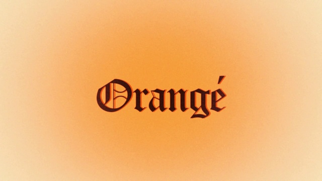 Video Reference N0: Font, Text, Orange, Logo, Graphics, Brand, Artwork