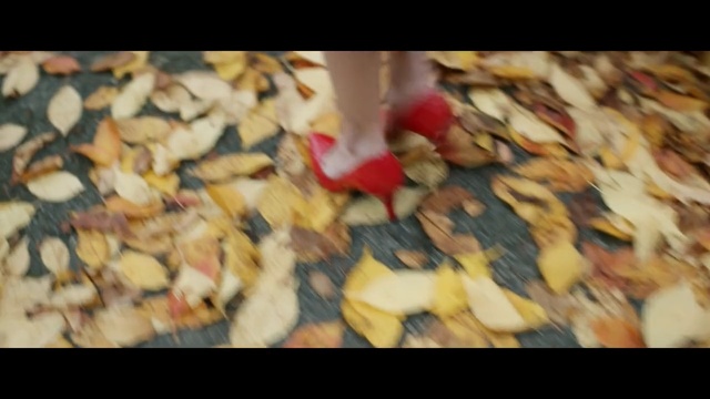 Video Reference N2: Leaf, Yellow, Junk food, Autumn, Snack, Person
