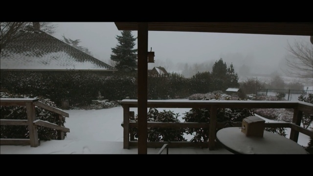 Video Reference N4: snow, winter, freezing, home, tree, house, wood, winter storm, screenshot, automotive exterior