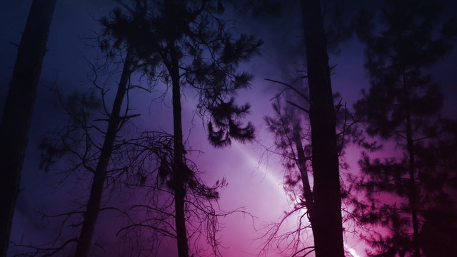Video Reference N0: Sky, Tree, Nature, Purple, Atmospheric phenomenon, Branch, Light, Night, Pink, Atmosphere, Person