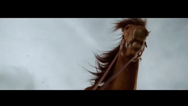 Video Reference N3: Hair, Horse, Mane, Head, Close-up, Mustang horse, Organism, Eye, Stallion, Photography