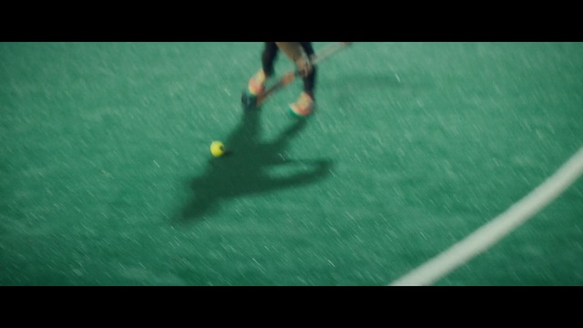 Video Reference N1: Green, Grass, Sports, Ball, Sports equipment, Recreation, Artificial turf, Field hockey, Leisure, Player, Person