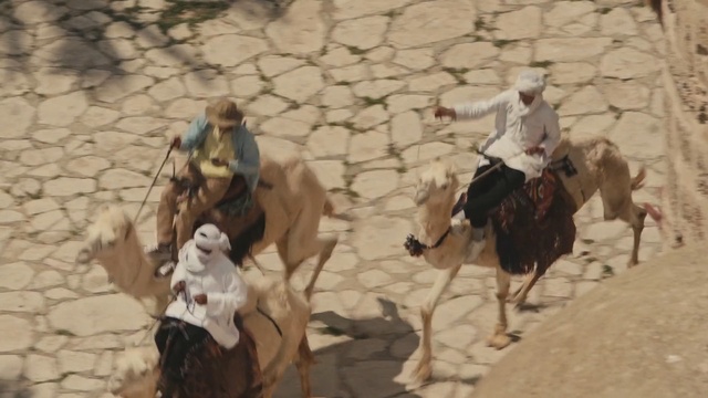 Video Reference N4: Camel, Arabian camel, Camelid, Herd, Pack animal, Landscape, Sand, Rein