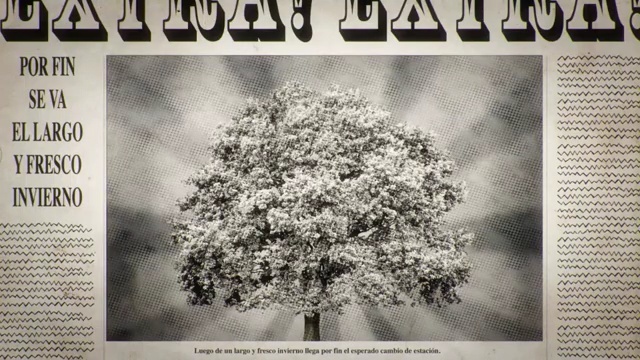Video Reference N1: Text, Tree, Plant, Black-and-white, Stock photography, Monochrome, Font, Photography, Wildflower, Flower, Person