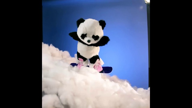 Video Reference N1: Panda, Bear, Snout, Sky, Snapshot, Toy, Stuffed toy, Textile, Teddy bear, Organism