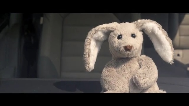 Video Reference N3: rabits and hares, rabbit, stuffed toy, snout, fur, Person