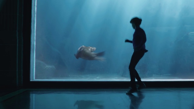 Video Reference N3: Blue, Water, Aquarium, Marine mammal, Performance