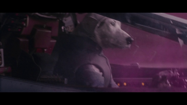 Video Reference N6: Darkness, Mode of transport, Screenshot, Dog breed, Automotive exterior, Canidae, Photography, Sporting Group, Fictional character, Guard dog