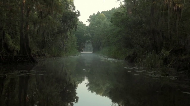 Video Reference N3: Body of water, Nature, Waterway, Natural environment, Natural landscape, River, Bank, Water resources, Atmospheric phenomenon, Water