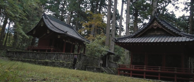 Video Reference N1: chinese architecture, japanese architecture, tree, shinto shrine, historic site, hut, temple, shrine, plant, forest, Person