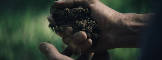 Video Reference N1: Soil, Hand, Finger, Adaptation, Thumb, Gesture